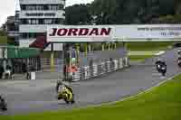 Lower Group Yellow Bikes